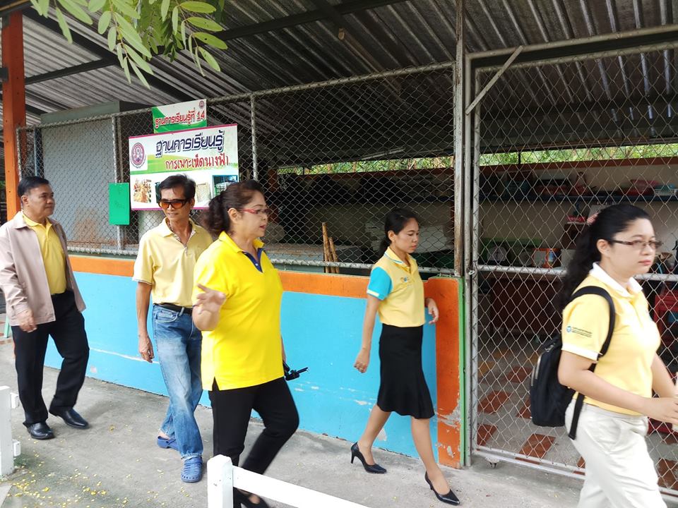 ทำกิจกรรมสาธารณประโยชน์เพื่อสังคมที่โรงเรียนฉะเชิงเทราปัญญานุกูล