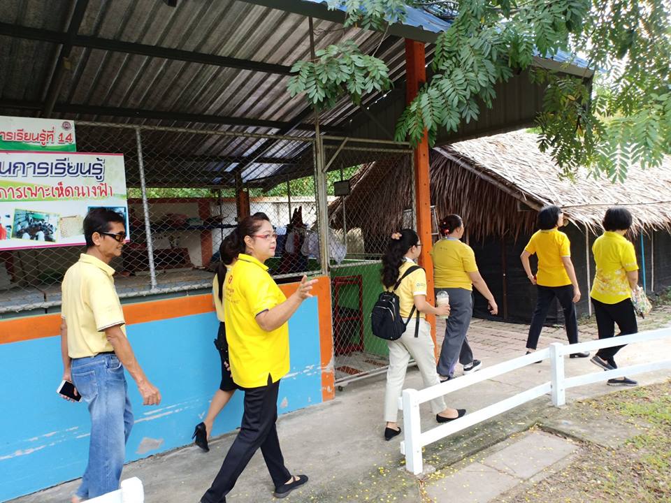 ทำกิจกรรมสาธารณประโยชน์เพื่อสังคมที่โรงเรียนฉะเชิงเทราปัญญานุกูล